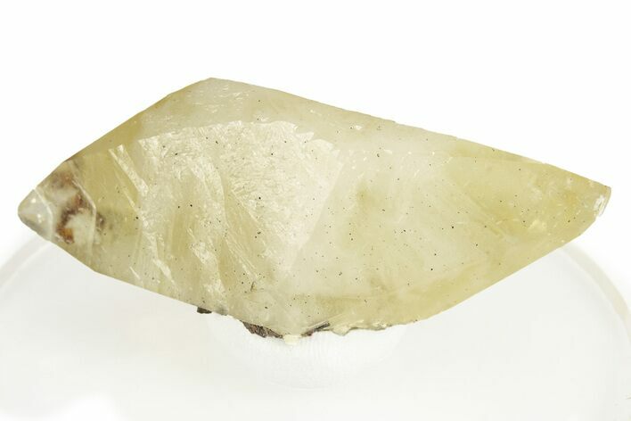 Gemmy, Twinned Stellarbeam Calcite Crystal - Elmwood Mine #244245